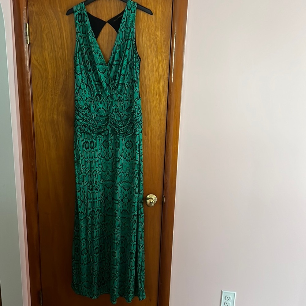 Paula Hermanny Dresss Size Large